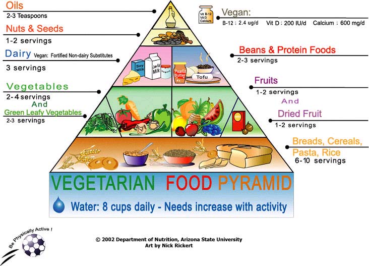 Daily Diet Chart For Indian Vegetarian